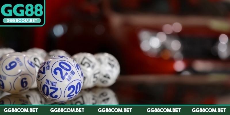 Có nhiều loại hình cho người dùng lựa chọn